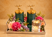 Diwali Light & Elegance Set